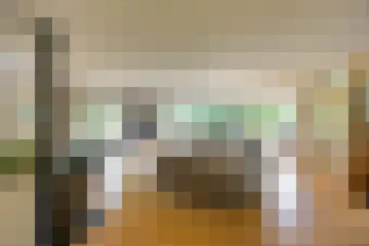 Aalscholver 20 Groningen thumbnail 9