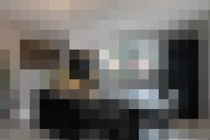 Aalscholver 27 Papendrecht thumbnail 12