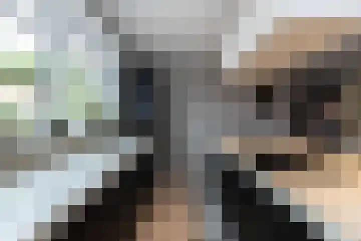 Aalscholver 27 Papendrecht thumbnail 13