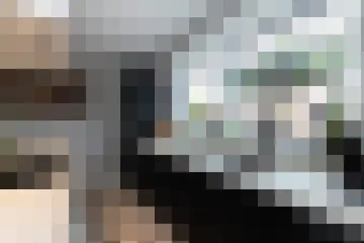Aalscholver 27 Papendrecht thumbnail 14
