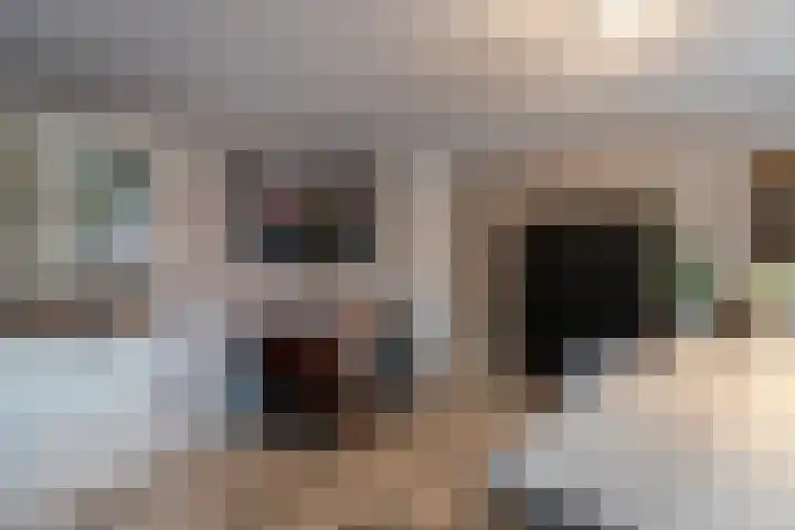 Aalscholver 27 Papendrecht thumbnail 15