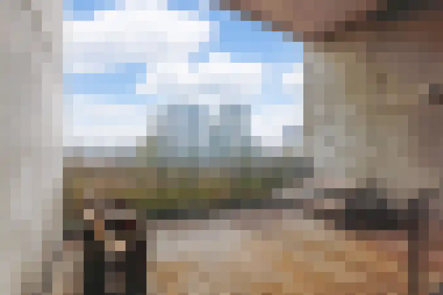 Aalscholver 27 Papendrecht thumbnail 16