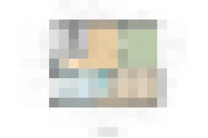 Aalscholver 27 Papendrecht thumbnail 21