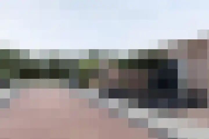 Aalscholver 27 Papendrecht thumbnail 5