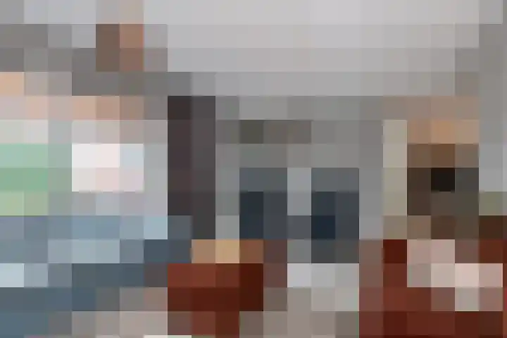 Aalscholver 27 Papendrecht thumbnail 9