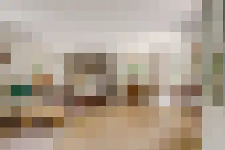 Aalscholver 3 Broek op Langedijk thumbnail 10