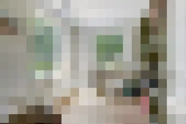 Aalscholver 3 Broek op Langedijk thumbnail 21