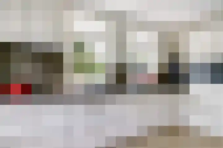 Aalscholver 3 Broek op Langedijk thumbnail 26