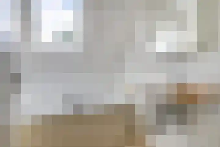 Aalscholver 3 Broek op Langedijk thumbnail 36