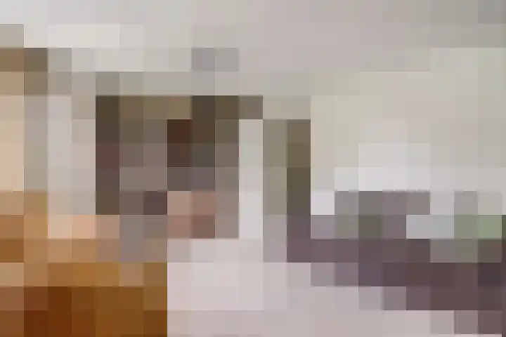 Aalscholver 3 Broek op Langedijk thumbnail 39