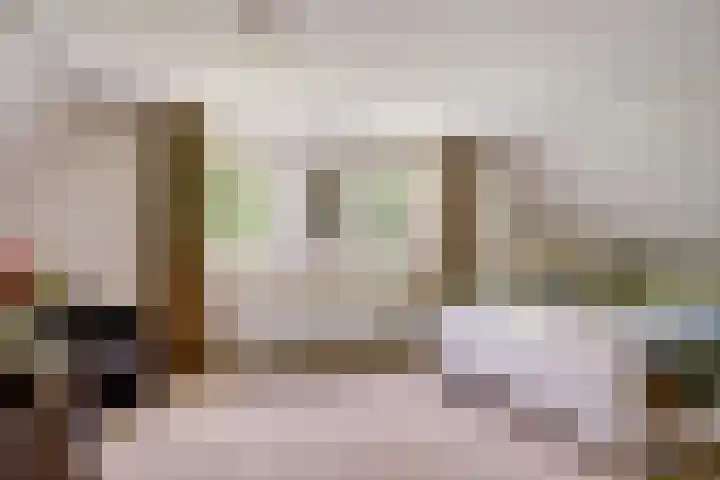 Aalscholver 3 Broek op Langedijk thumbnail 40