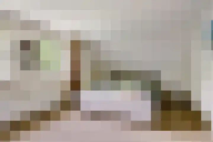 Aalscholver 3 Broek op Langedijk thumbnail 41