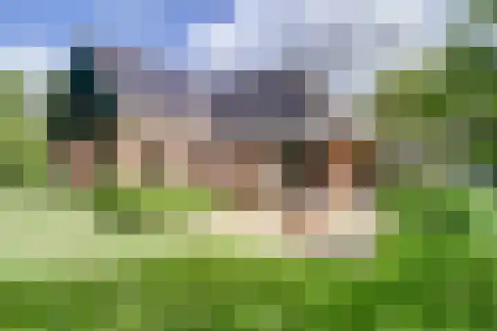 Aalscholver 3 Broek op Langedijk thumbnail 48