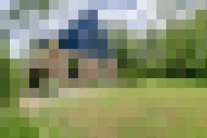 Aalscholver 3 Broek op Langedijk thumbnail 54