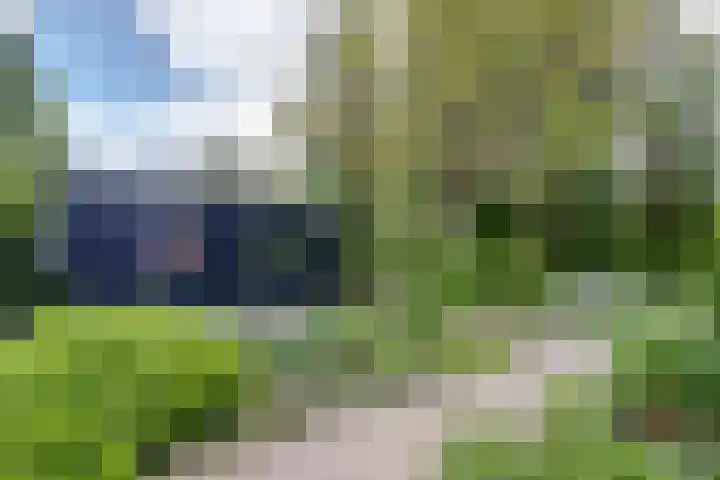 Aalscholver 3 Broek op Langedijk thumbnail 56