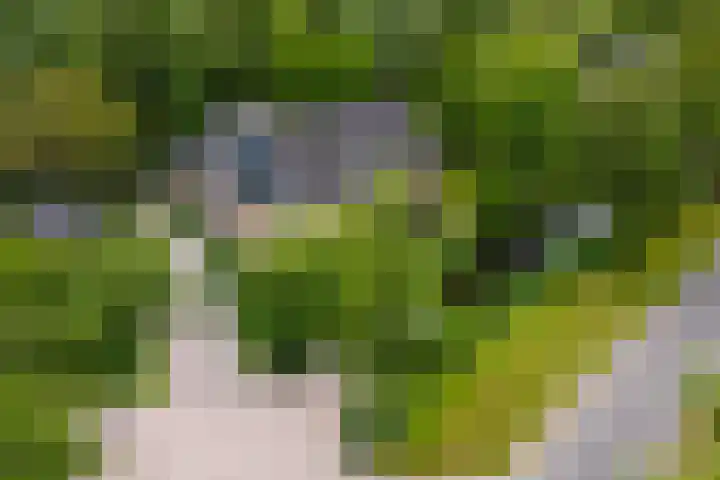 Aalscholver 3 Broek op Langedijk thumbnail 57