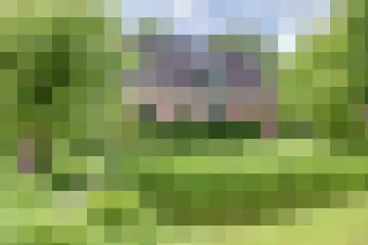 Aalscholver 3 Broek op Langedijk thumbnail 7