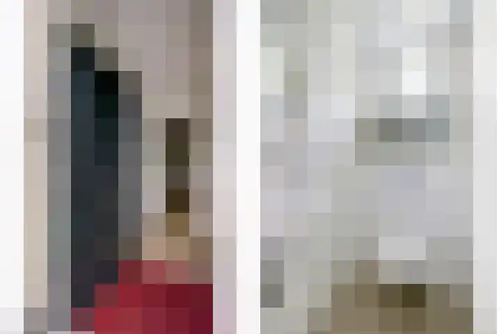 Aalscholver 3 Broek op Langedijk thumbnail 8