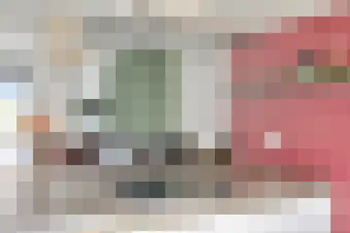 Aalscholver 3 Veenendaal thumbnail 15