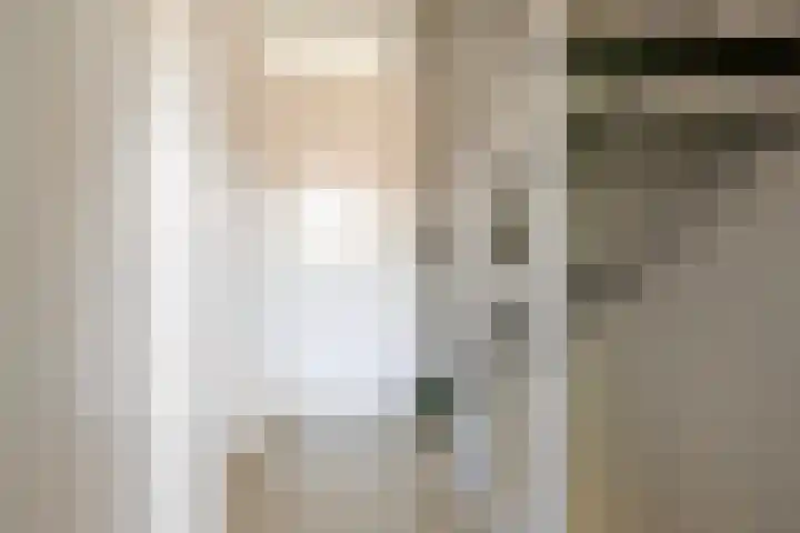 Aalscholver 3 Veenendaal thumbnail 16