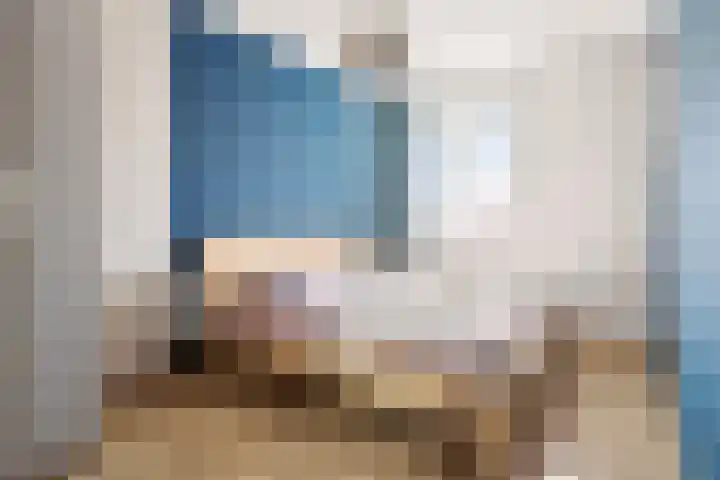 Aalscholver 3 Veenendaal thumbnail 17