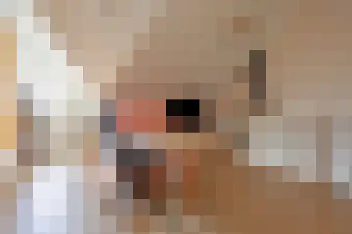 Aalscholver 3 Veenendaal thumbnail 26