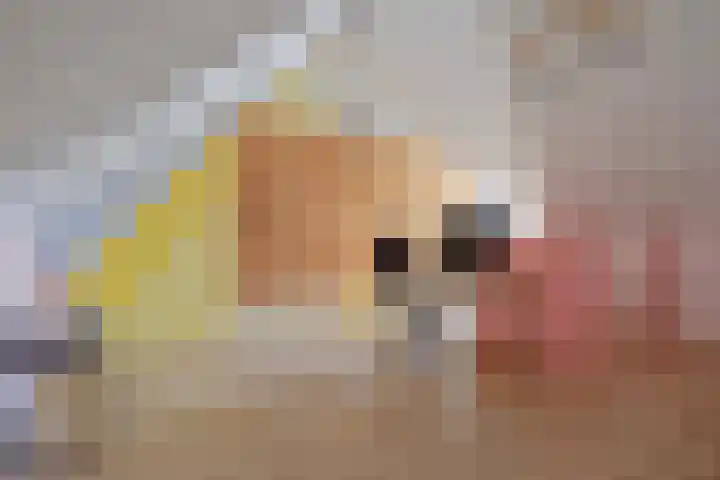 Aalscholver 3 Veenendaal thumbnail 27