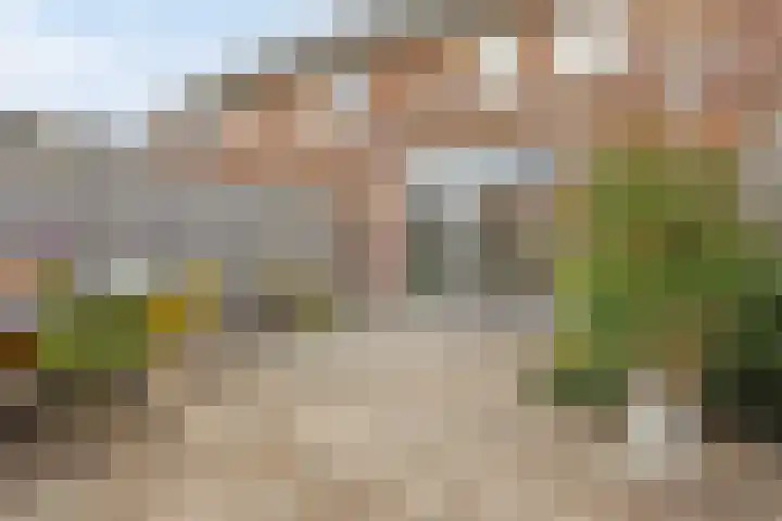 Aalscholver 3 Veenendaal thumbnail 32