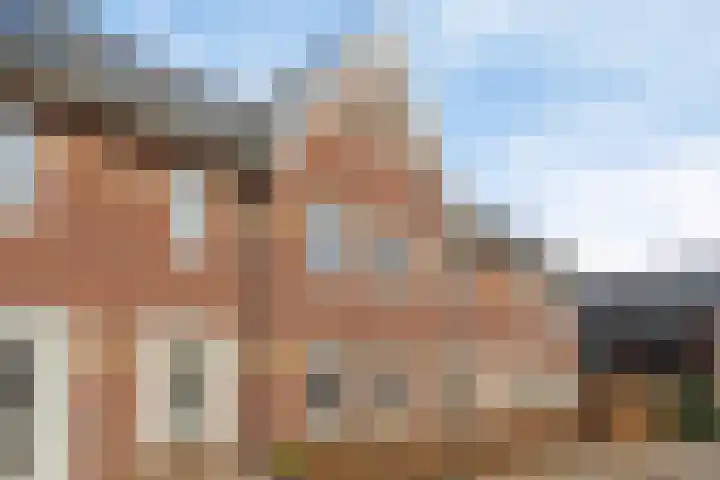 Aalscholver 3 Veenendaal thumbnail 33