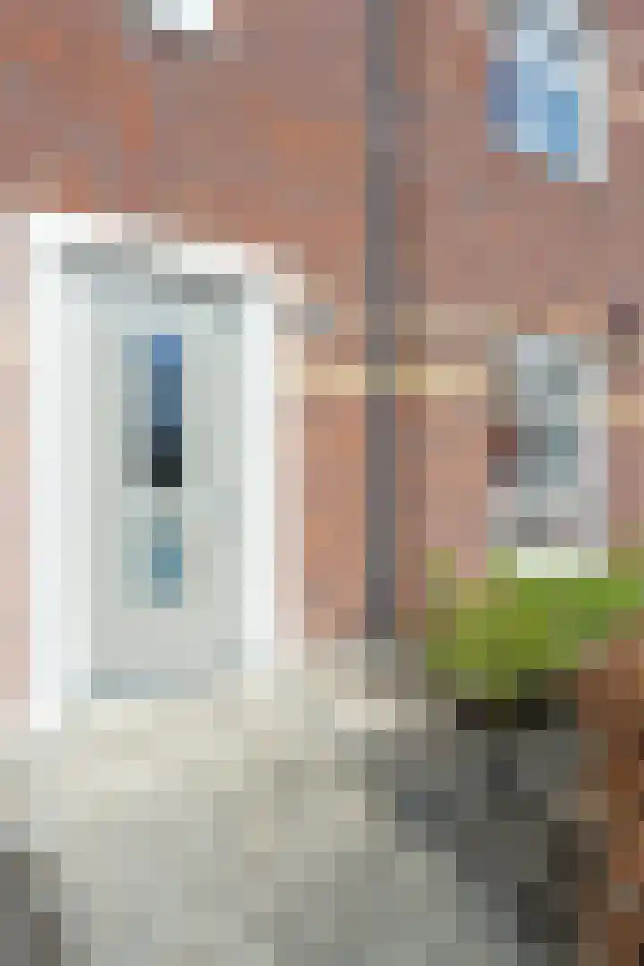 Aalscholver 3 Veenendaal thumbnail 35