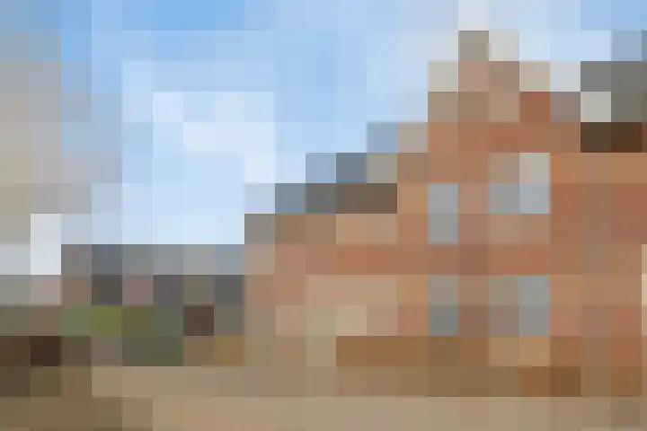 Aalscholver 3 Veenendaal thumbnail 36