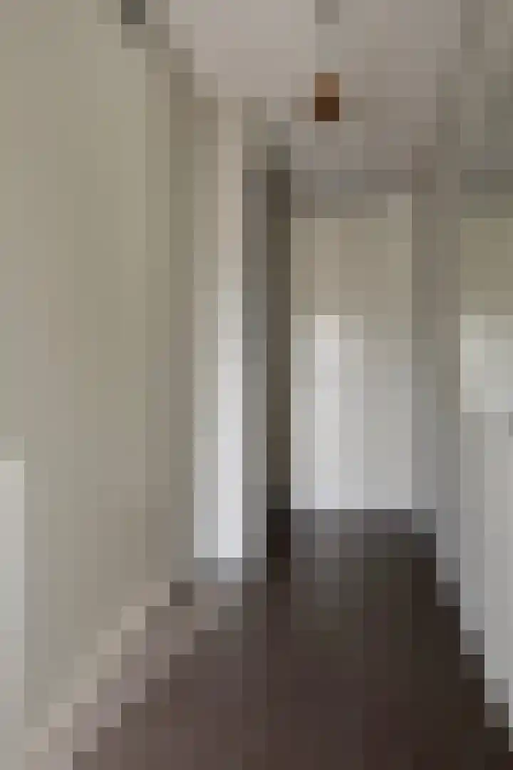 Aalscholver 3 Veenendaal thumbnail 4