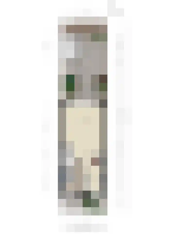 Aalscholver 3 Veenendaal thumbnail 40