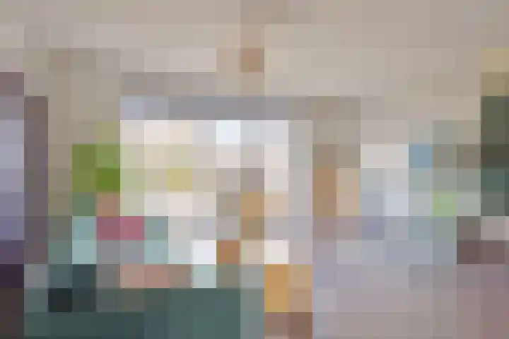 Aalscholver 3 Veenendaal thumbnail 6
