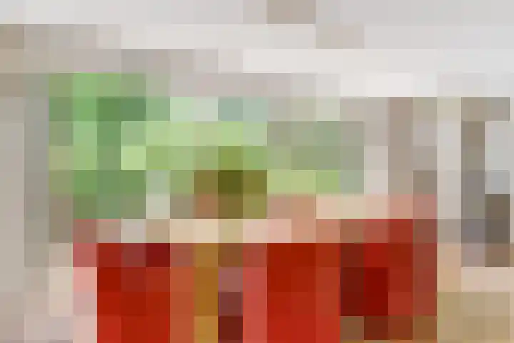 Aalscholver 5 Broek op Langedijk thumbnail 10