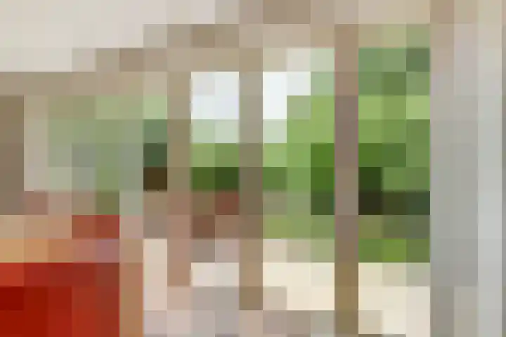 Aalscholver 5 Broek op Langedijk thumbnail 11