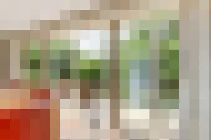 Aalscholver 5 Broek op Langedijk thumbnail 12