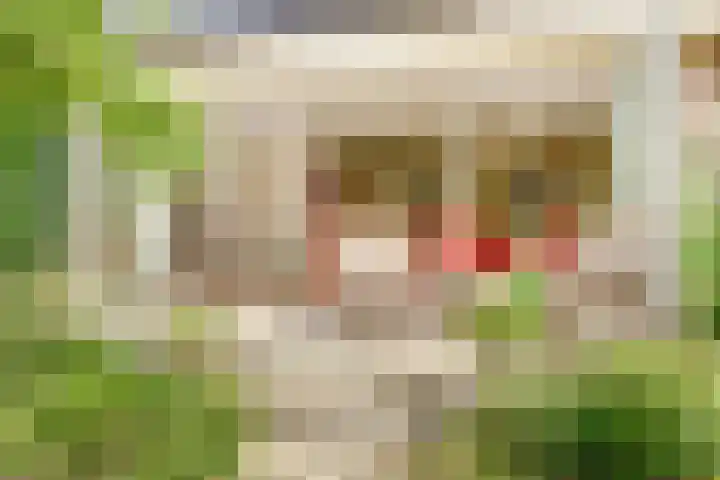 Aalscholver 5 Broek op Langedijk thumbnail 13