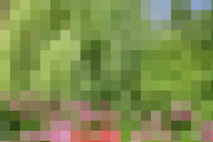 Aalscholver 5 Broek op Langedijk thumbnail 31