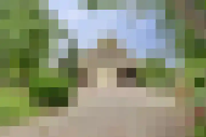Aalscholver 5 Broek op Langedijk thumbnail 4