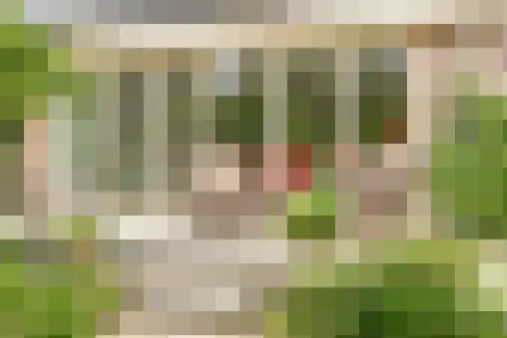 Aalscholver 5 Broek op Langedijk thumbnail 52