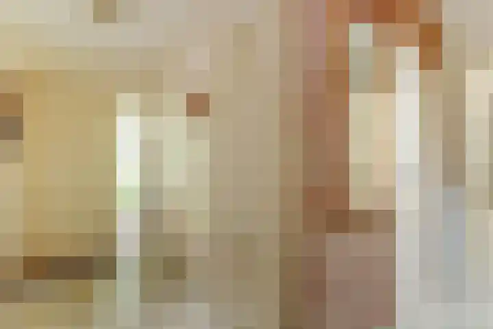 Aalscholver 5 Broek op Langedijk thumbnail 6