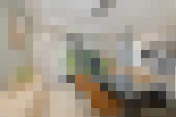 Aalscholverlaan 24 's-Hertogenbosch thumbnail 10