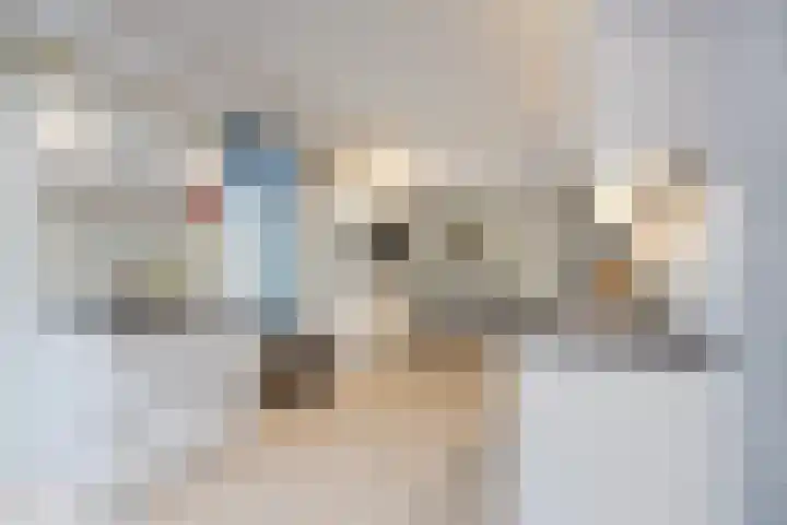 Aalscholverlaan 24 's-Hertogenbosch thumbnail 13