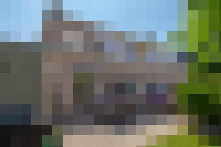 Aalscholverlaan 24 's-Hertogenbosch thumbnail 17