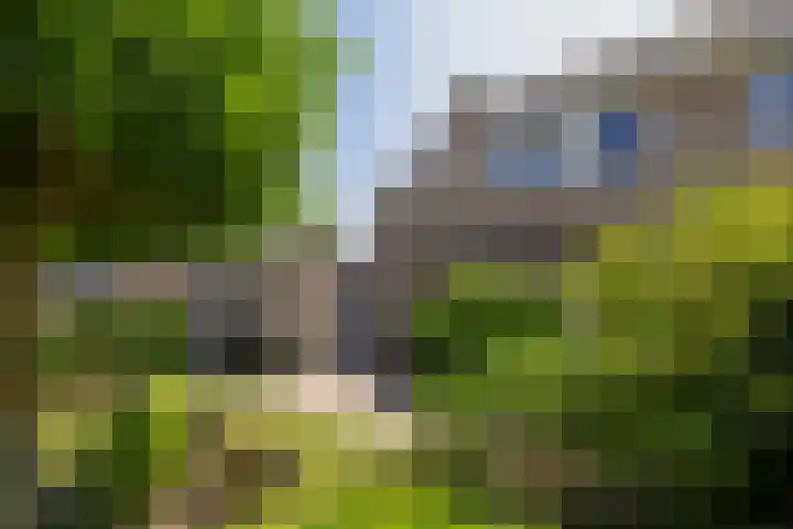Aalscholverlaan 24 's-Hertogenbosch thumbnail 18