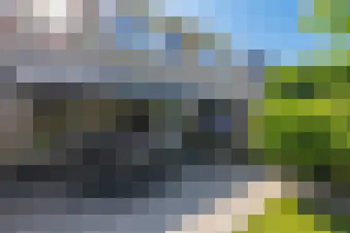 Aalscholverlaan 24 's-Hertogenbosch thumbnail 20