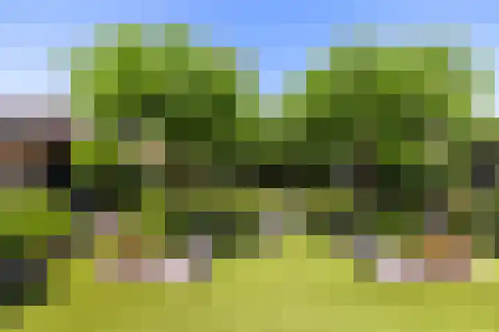 Aalscholverlaan 24 's-Hertogenbosch thumbnail 21