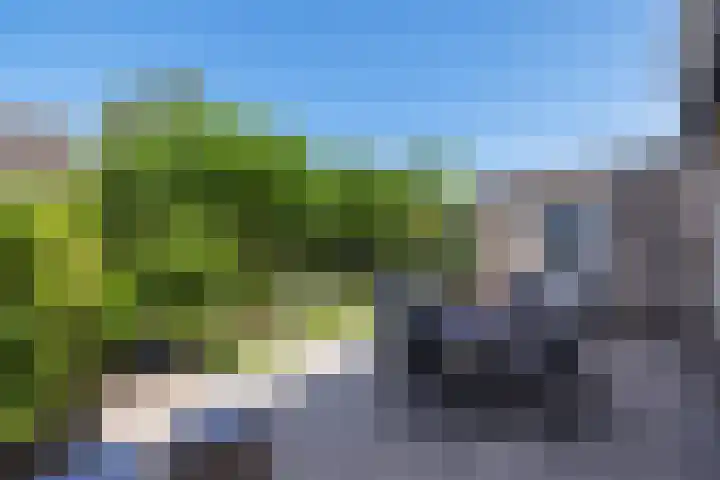 Aalscholverlaan 24 's-Hertogenbosch thumbnail 22
