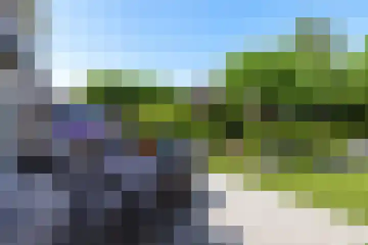 Aalscholverlaan 24 's-Hertogenbosch thumbnail 23